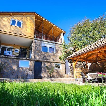 Vila Nemir Zavojsko Jezero ピロト エクステリア 写真