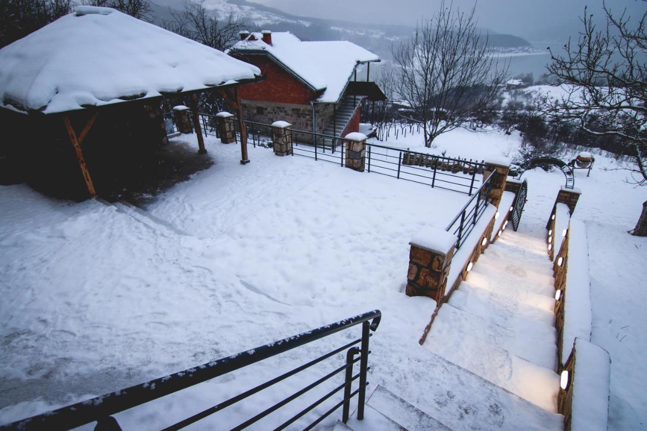 Vila Nemir Zavojsko Jezero ピロト エクステリア 写真