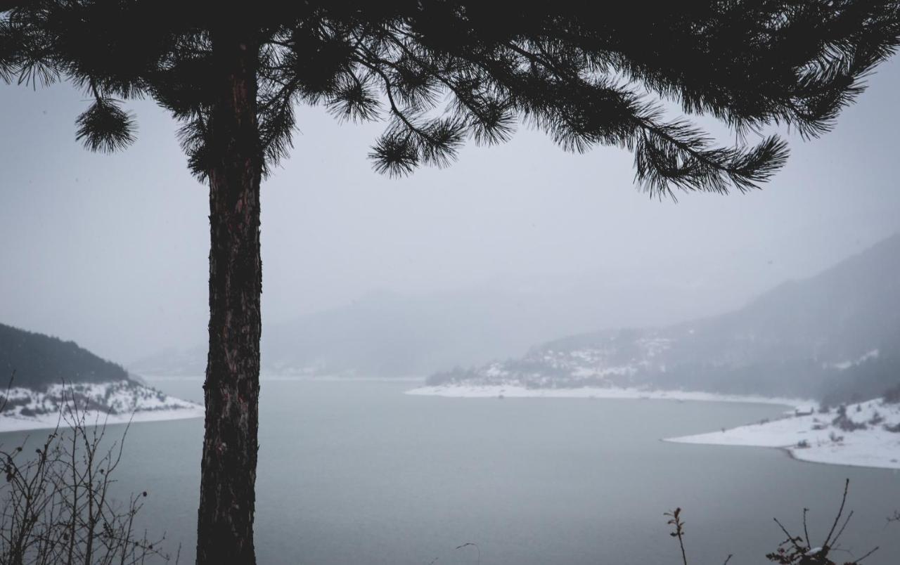 Vila Nemir Zavojsko Jezero ピロト エクステリア 写真